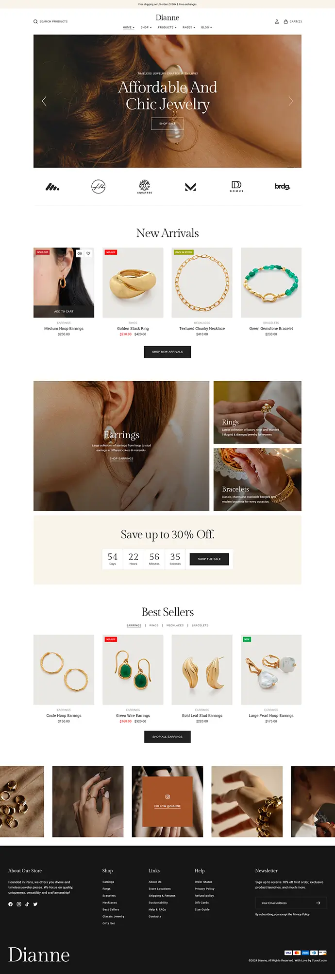 Dianne - Modern Jewelry Store WooCommerce WordPress Theme