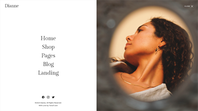 Dianne - Modern Jewelry Store WooCommerce WordPress Theme