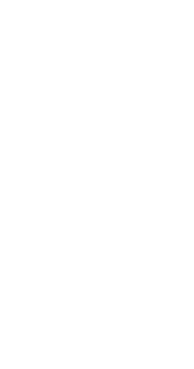 flower-2